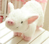 Super Kawaii Pig Plush Toy